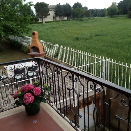 Le Vigne Di Clementina Fabi In Castignano